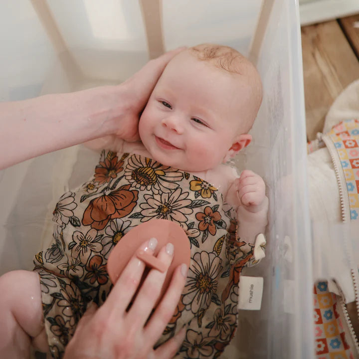 Cradle Cap Brushes-Rose/Soft Lilac