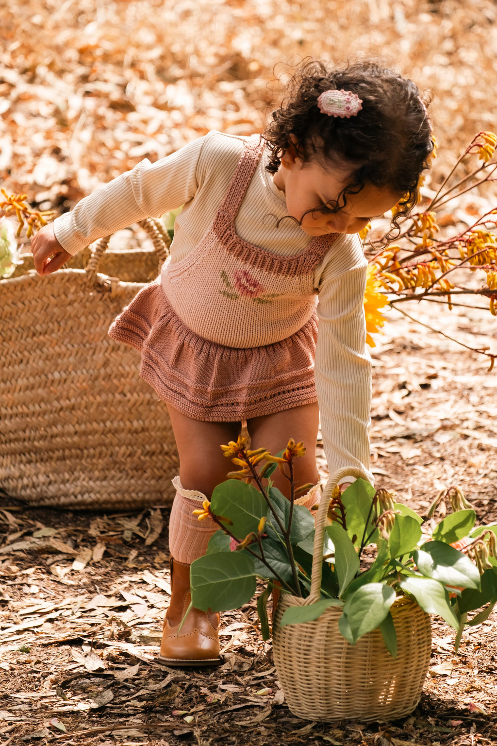 Scallop Clip Set - Misty Rose