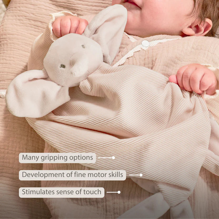 FanFan Baby Cuddly blanket - 65 x 40 cm - Doudou Elephant - Sand