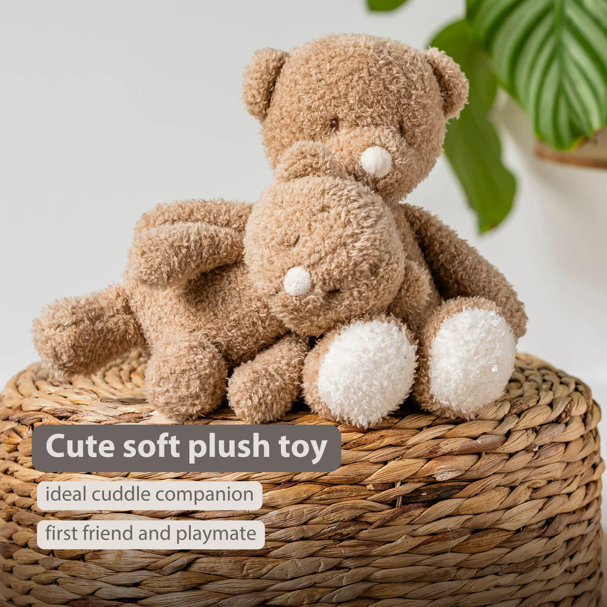 TEDDY Baby Plush Bear – 25 cm – Soft Baby Cuddle Toy – Beige