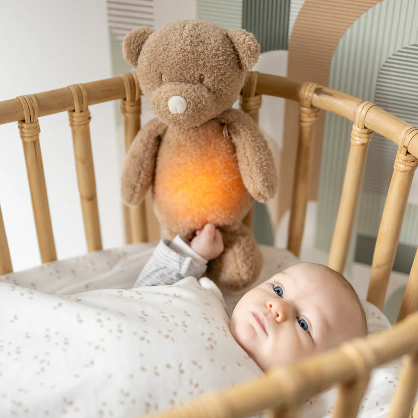 Night Light Bear NIGHTLIGHTS