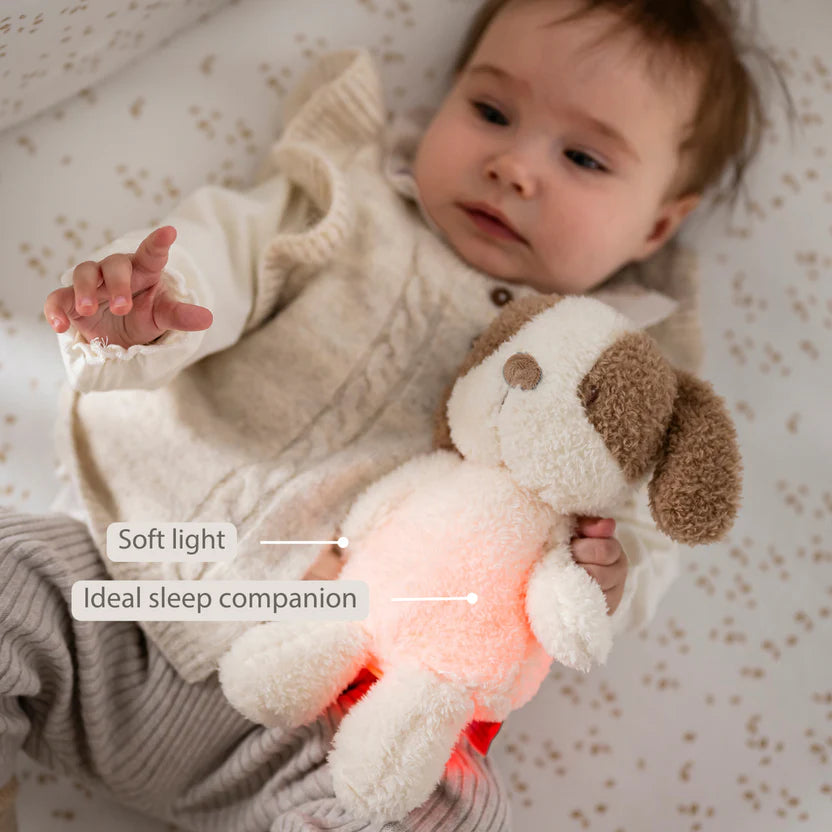 TEDDY Baby Night Light Dog – 25 cm – Soft Baby Plush – Beige