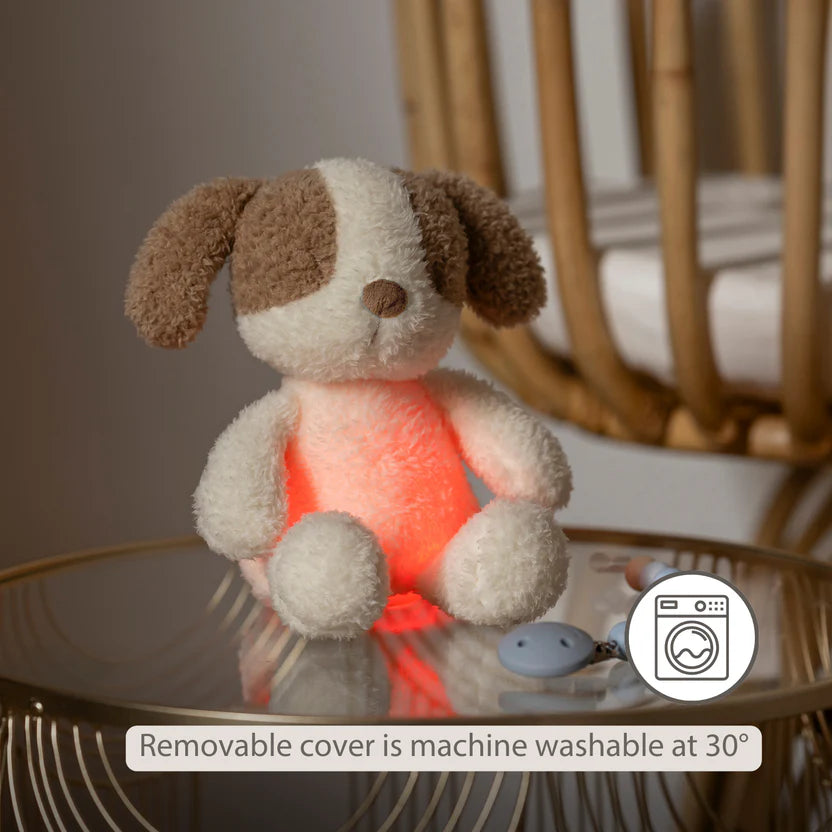 TEDDY Baby Night Light Dog – 25 cm – Soft Baby Plush – Beige