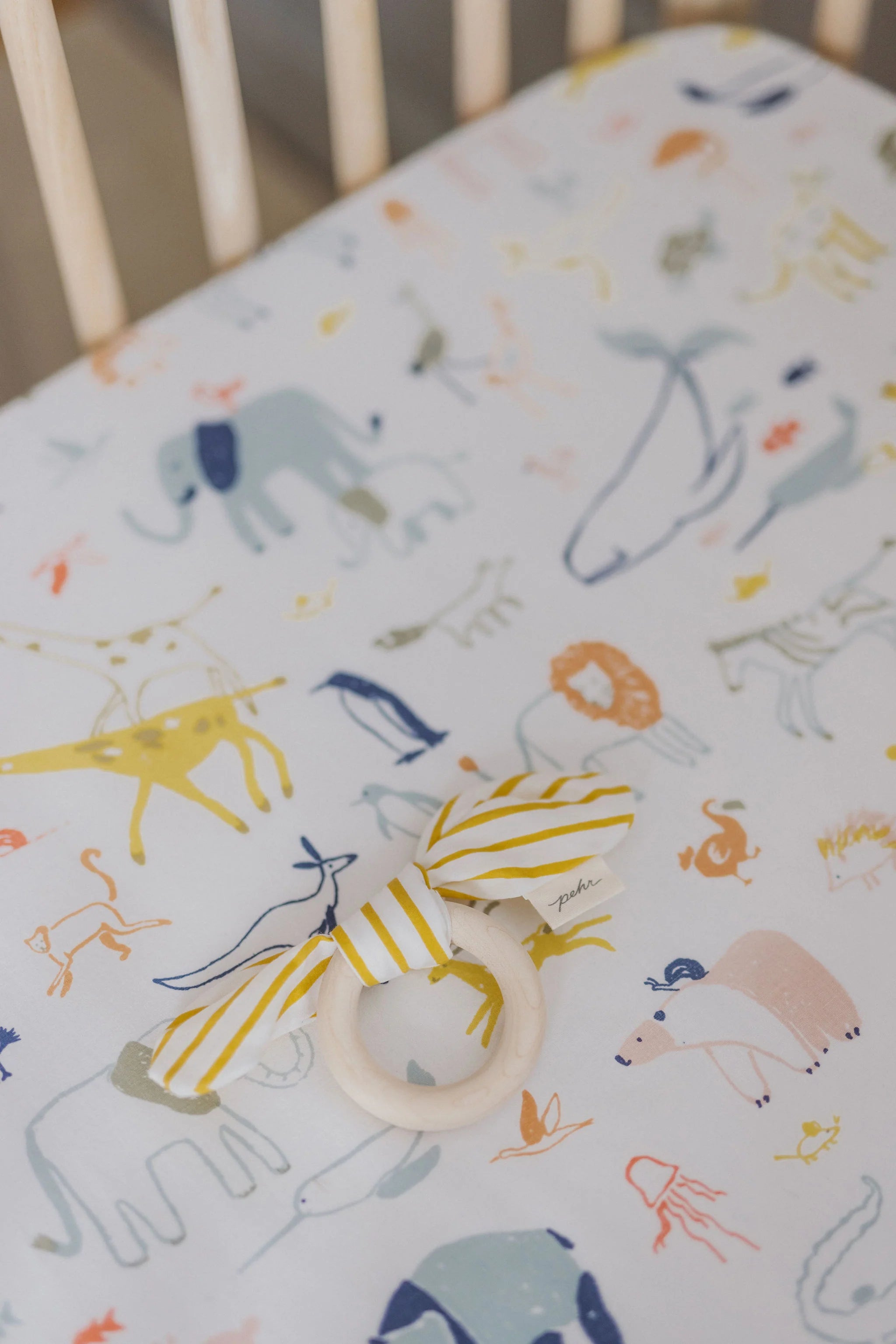 Crib Sheet Into The Wild