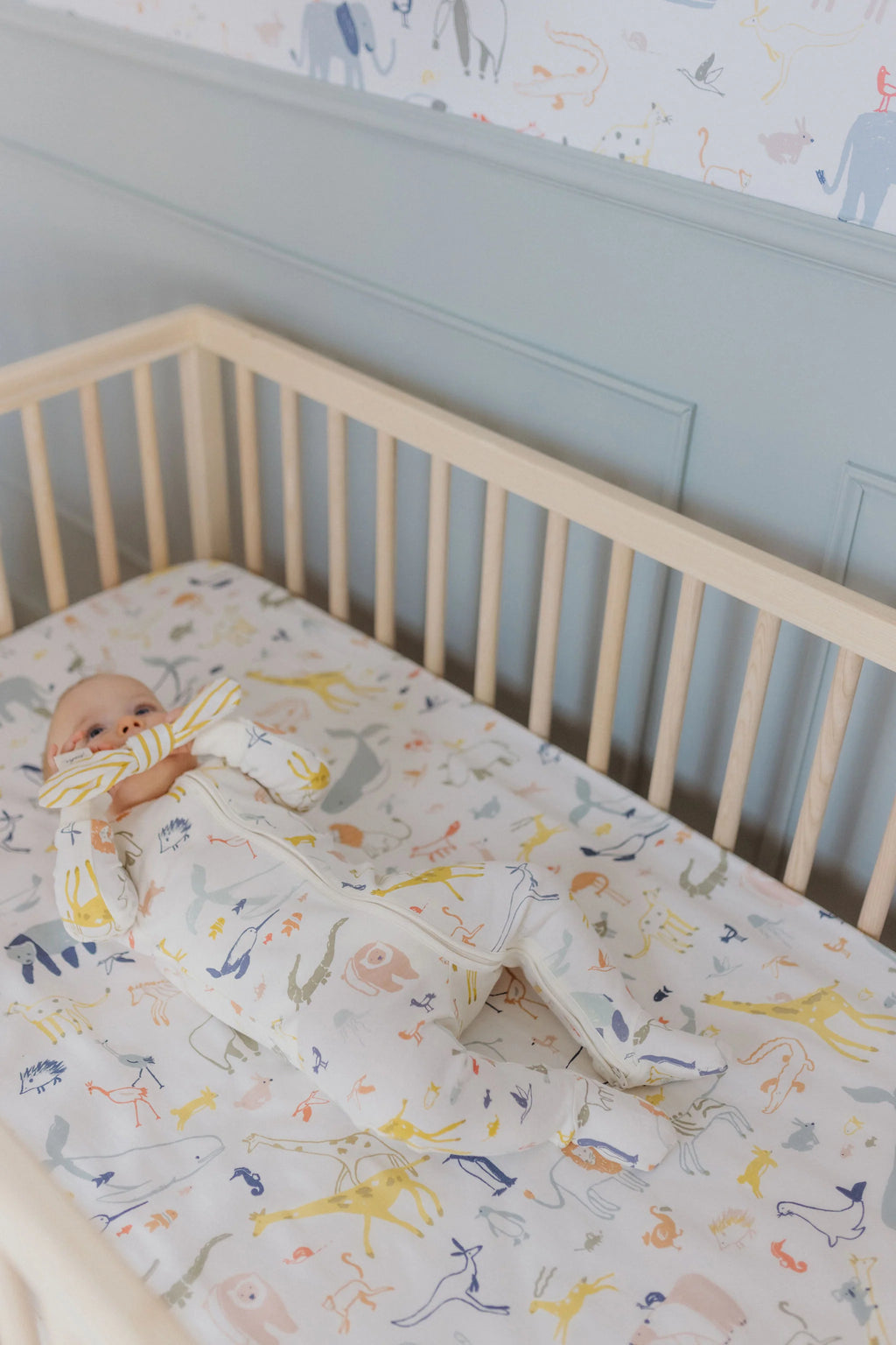 Crib Sheet Into The Wild