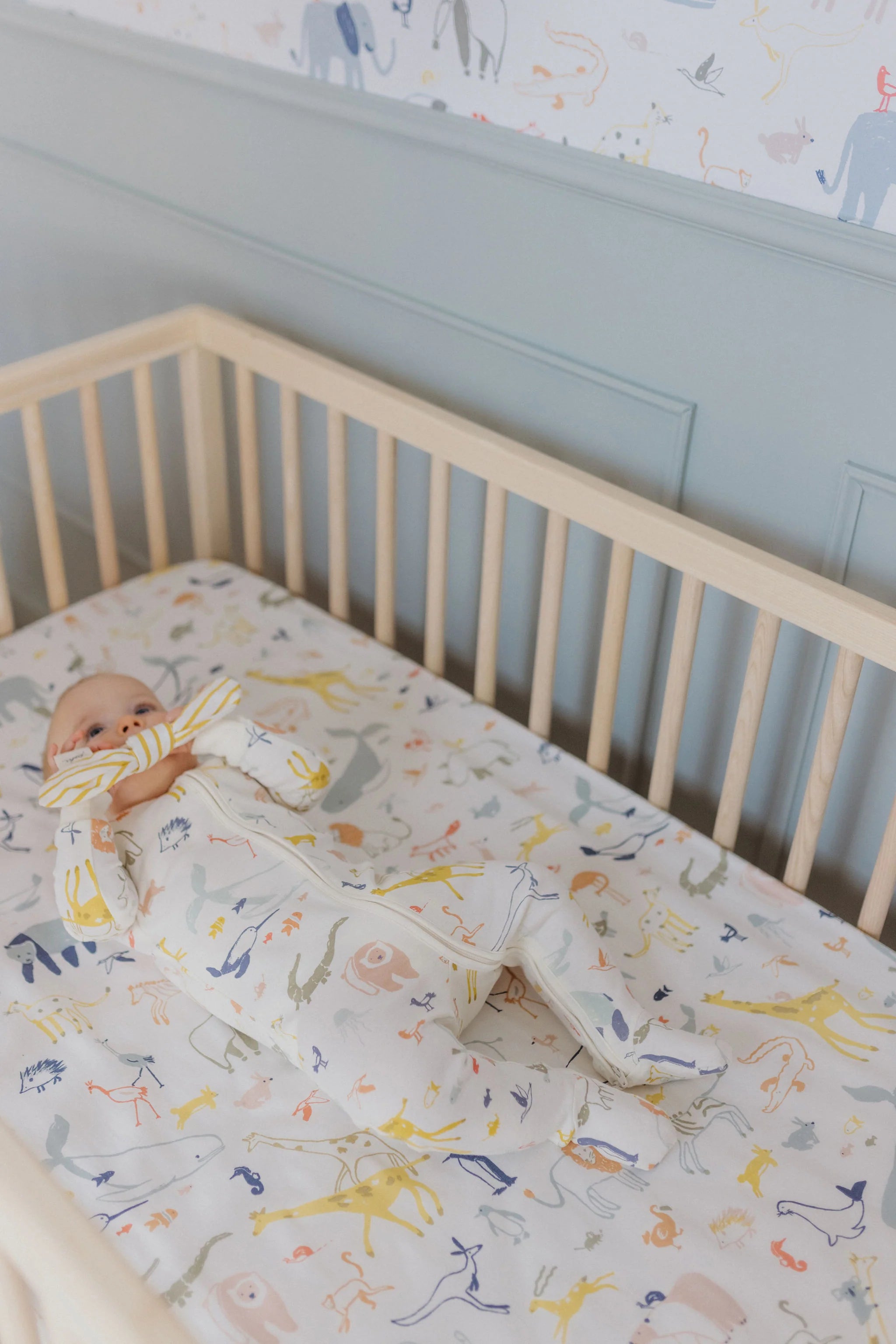 Crib Sheet Into The Wild