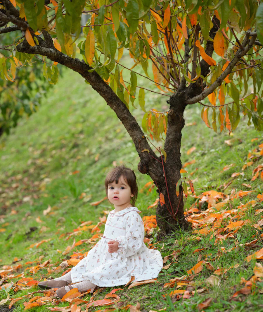 Woodland Smocked Dress with Knickers