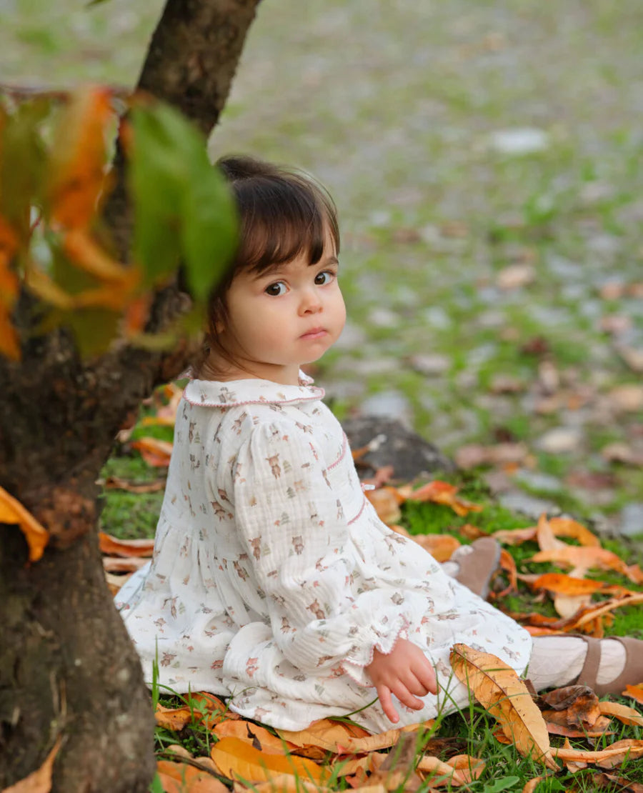 Woodland Smocked Dress with Knickers