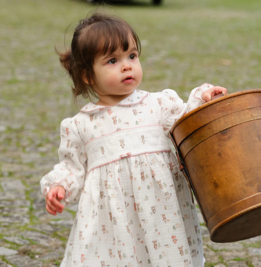 Woodland Smocked Dress with Knickers