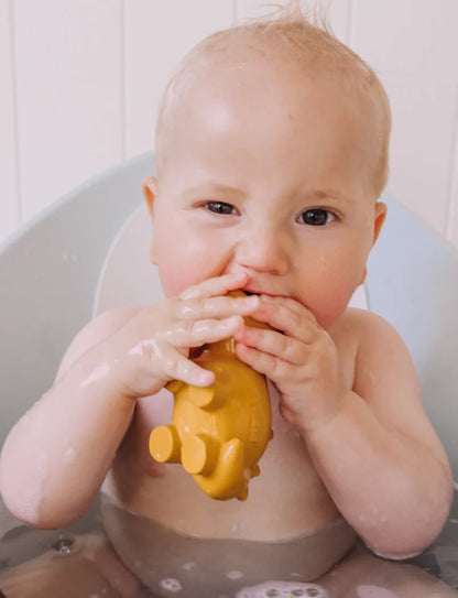 Stego Natural Rubber Teether, Rattle & Bath Toy