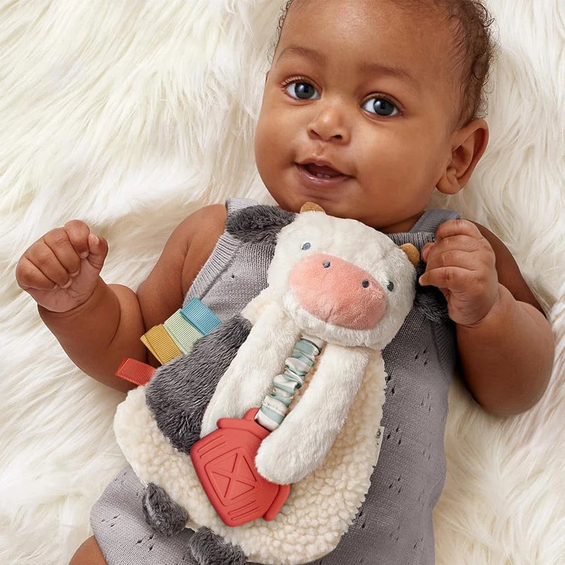 Itzy Lovey Plush and Teether Toy
