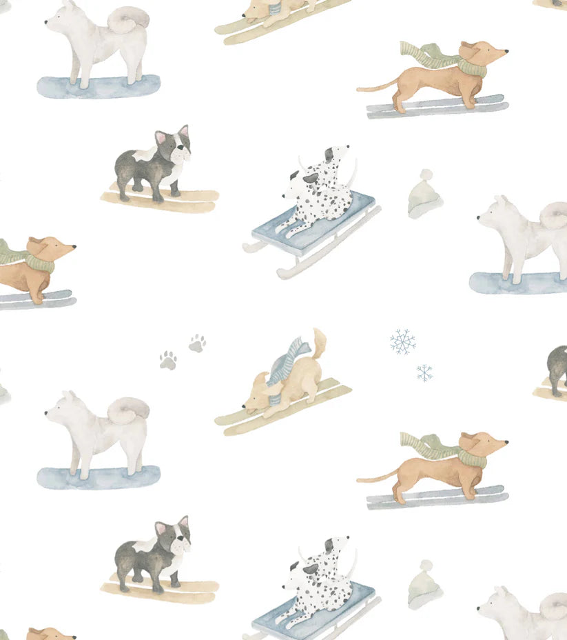 Ski Pups Boy Baby Blanket