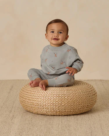 Relaxed Sweatshirt + Pant  Set || Moose