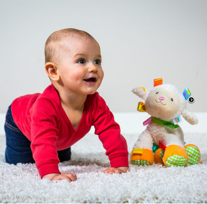 Taggies Sherbet Lamb Soft Toy