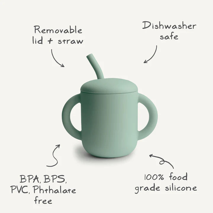 Silicone Training Cup + Straw Dinosaurs