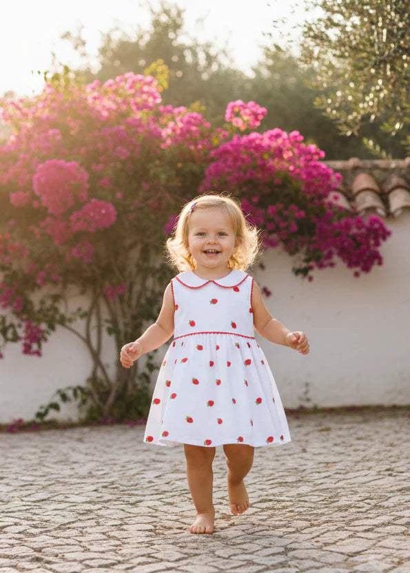 Strawberry Embroidered Summer Dress