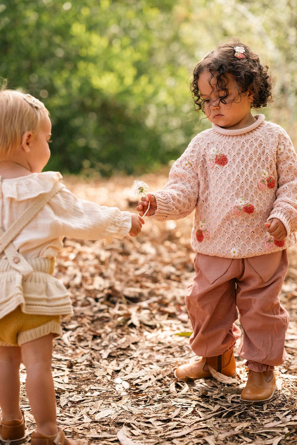 Strawberry Fields Sweater - Pink
