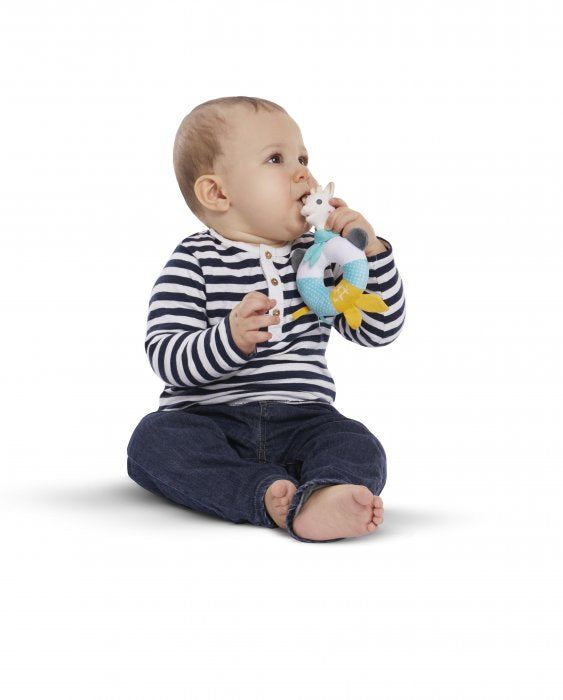 Shake and Chew Rattle