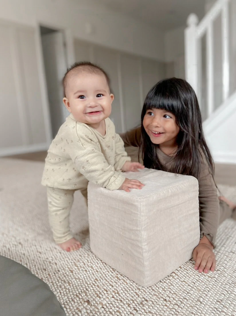 LMB Play Cubes - Dino