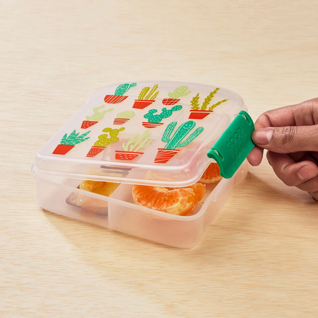 Good Lunch Sandwich Box | Happy Cactus